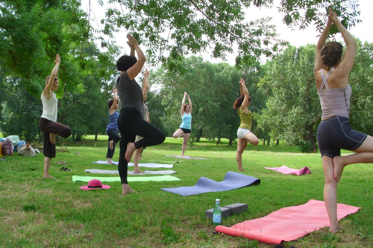 yoga aux quinze sols 5 juillet 2015